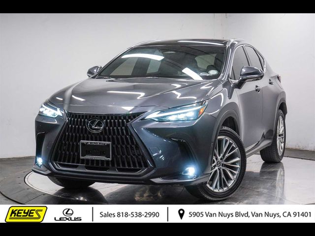 2024 Lexus NX 350h Luxury