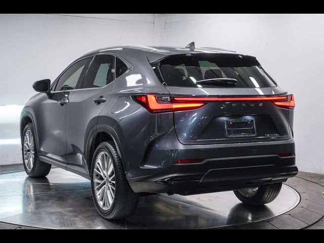 2024 Lexus NX 350h Luxury