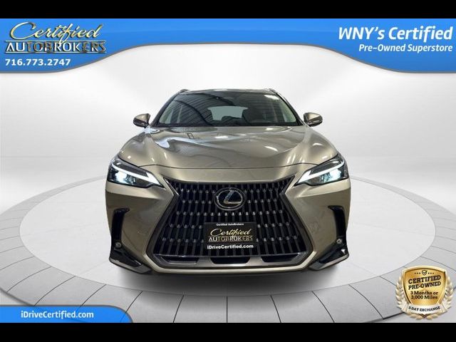 2024 Lexus NX 350