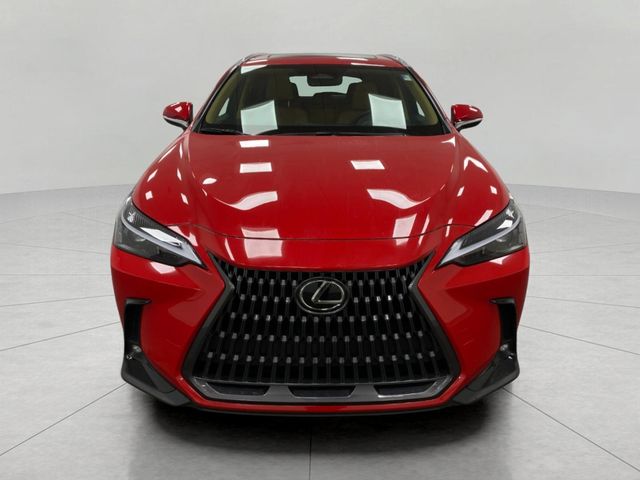 2024 Lexus NX 350