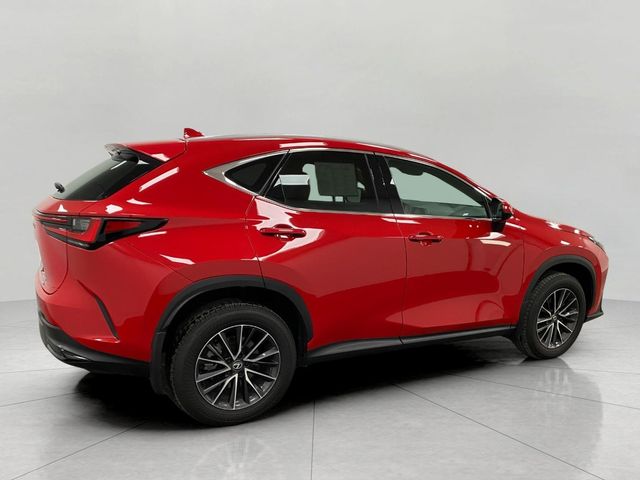 2024 Lexus NX 350