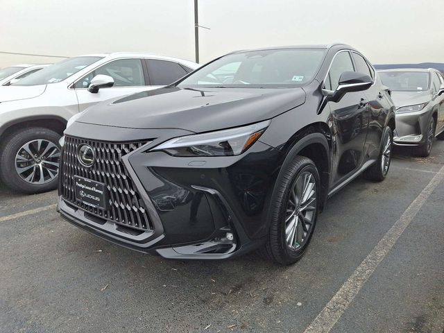 2024 Lexus NX 350 Luxury