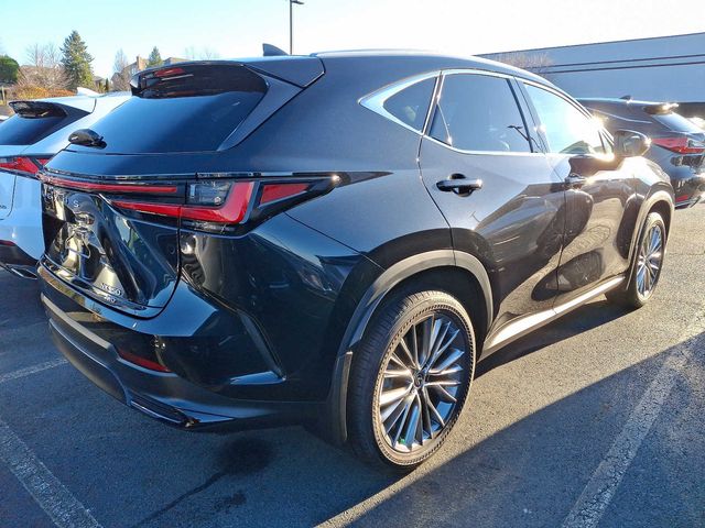 2024 Lexus NX 350 Luxury