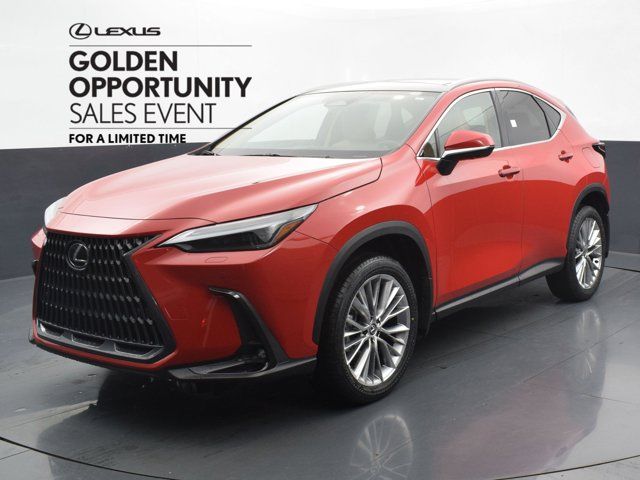 2024 Lexus NX 350 Luxury