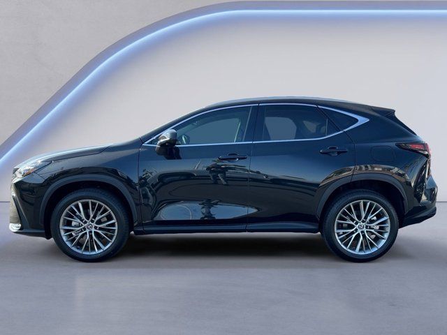 2024 Lexus NX 350 Luxury