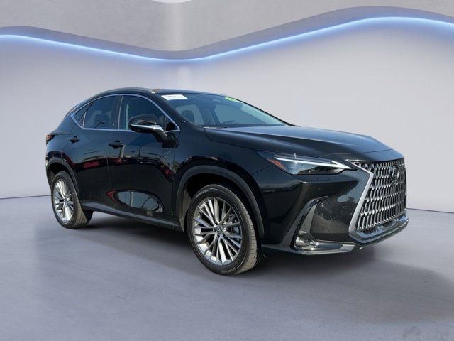 2024 Lexus NX 350 Luxury