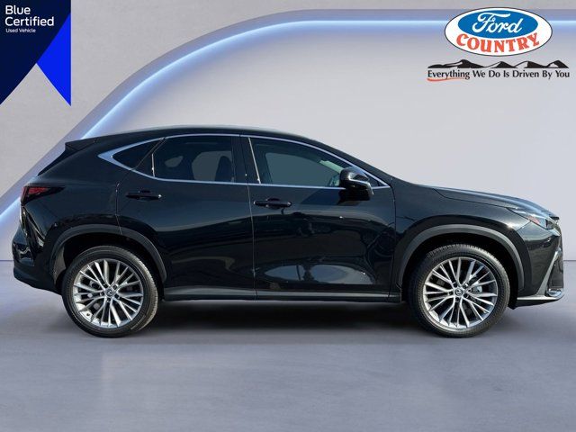 2024 Lexus NX 350 Luxury