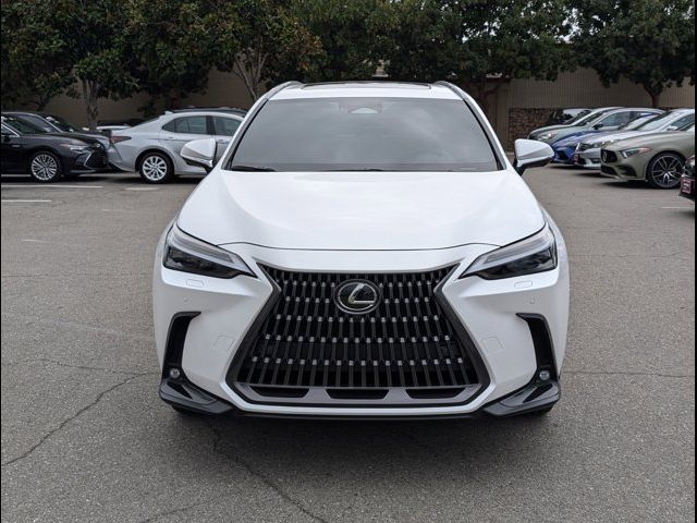 2024 Lexus NX 350 Luxury