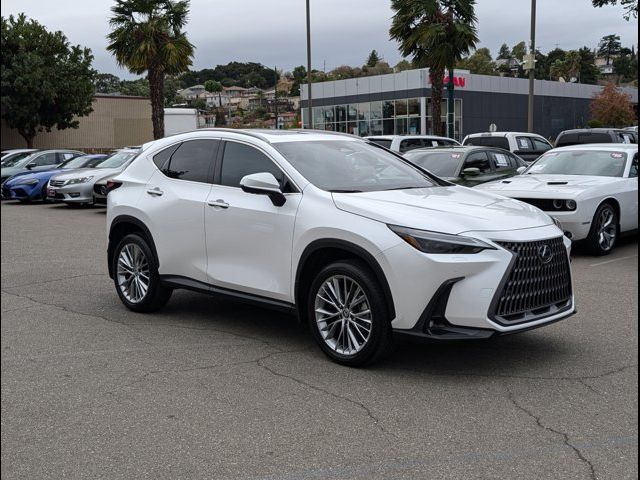 2024 Lexus NX 350 Luxury