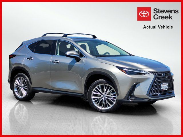 2024 Lexus NX 350 Luxury