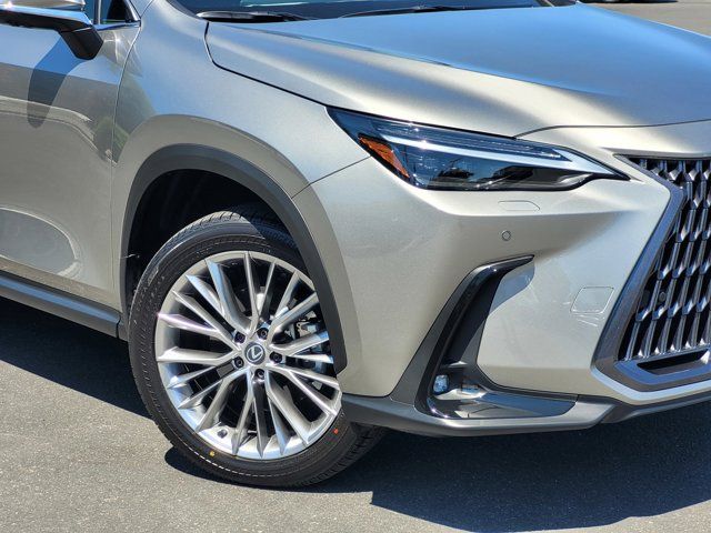 2024 Lexus NX 350 Luxury