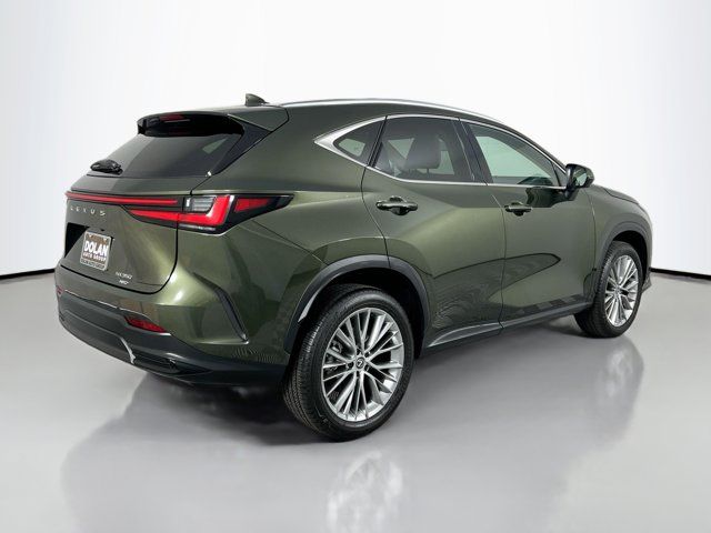 2024 Lexus NX 350 Luxury