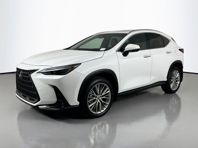 2024 Lexus NX 350 Luxury