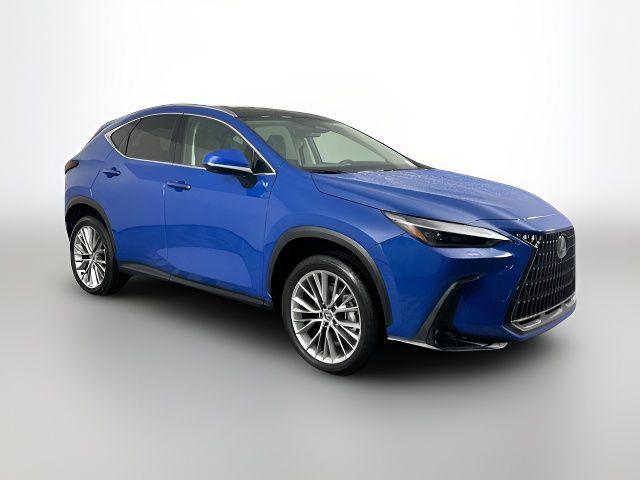 2024 Lexus NX 350 Luxury