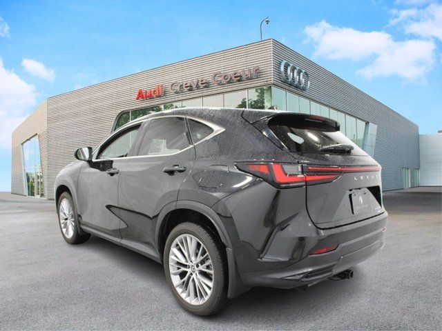 2024 Lexus NX 350 Luxury