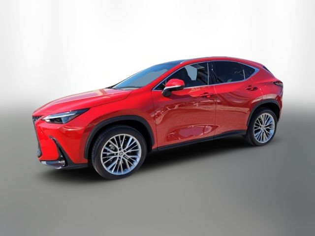 2024 Lexus NX 350 Luxury