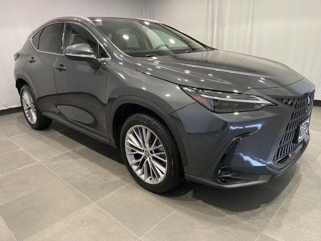 2024 Lexus NX 350 Luxury
