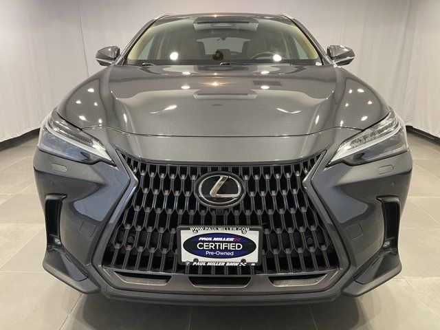 2024 Lexus NX 350 Luxury