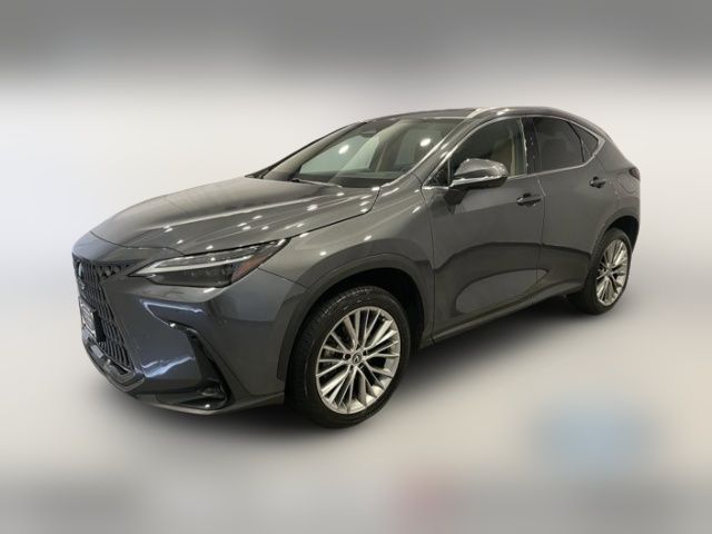 2024 Lexus NX 350 Luxury