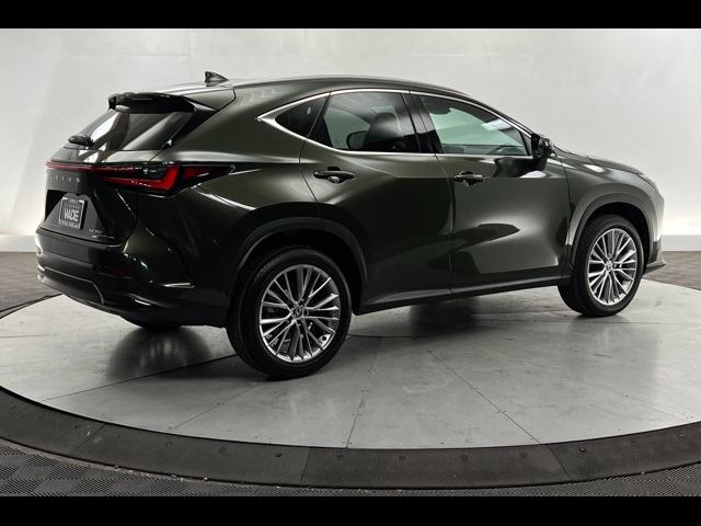 2024 Lexus NX 350 Luxury