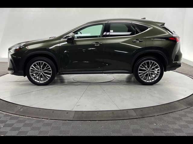 2024 Lexus NX 350 Luxury