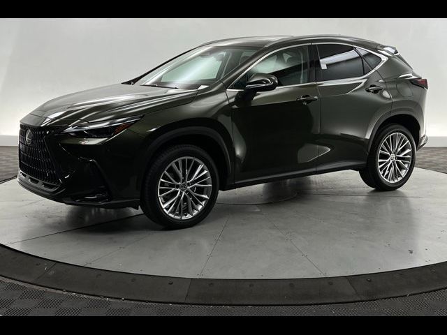 2024 Lexus NX 350 Luxury