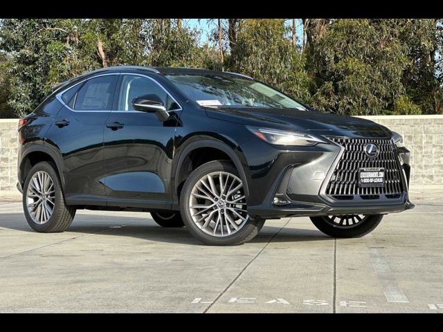 2024 Lexus NX 350 Luxury