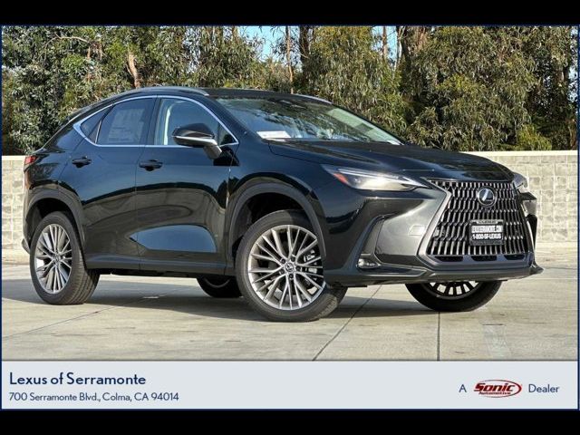 2024 Lexus NX 350 Luxury