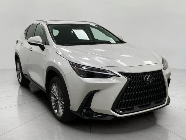 2024 Lexus NX 350 Luxury