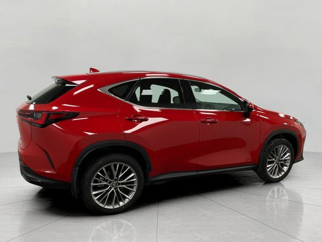 2024 Lexus NX 350 Luxury