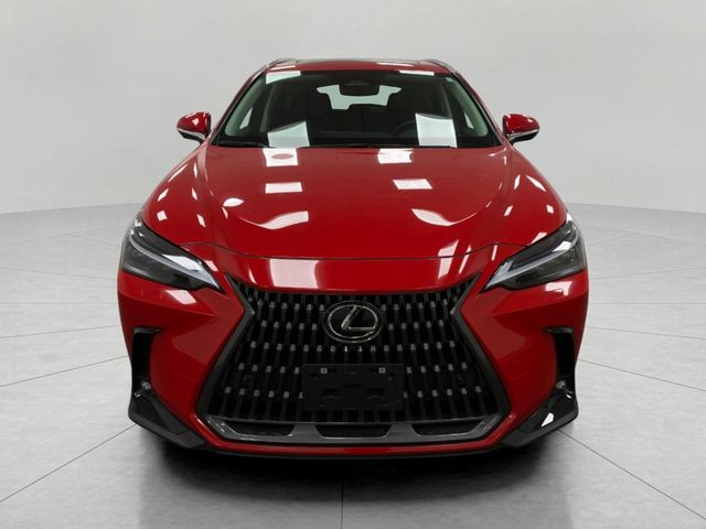 2024 Lexus NX 350 Luxury