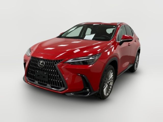 2024 Lexus NX 350 Luxury