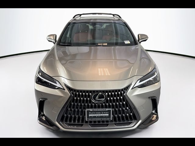 2024 Lexus NX 350 Premium
