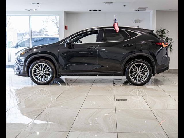 2024 Lexus NX 350 Premium