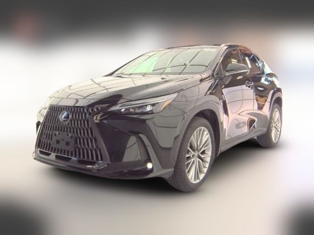 2024 Lexus NX 350 Premium