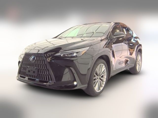 2024 Lexus NX 350 Premium