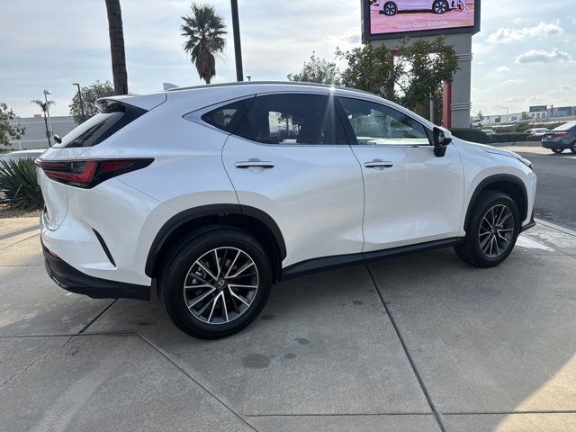 2024 Lexus NX 350 Premium