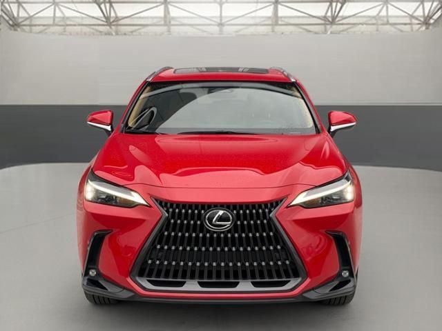 2024 Lexus NX 350 Premium