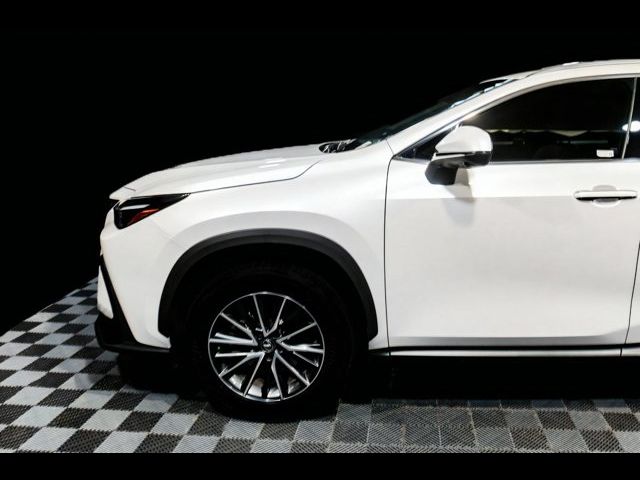 2024 Lexus NX 350 Premium