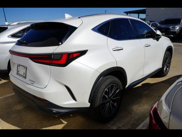 2024 Lexus NX 350 Premium