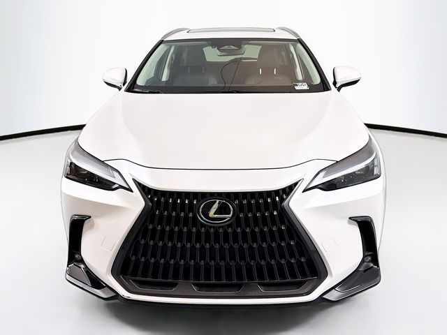 2024 Lexus NX 350h