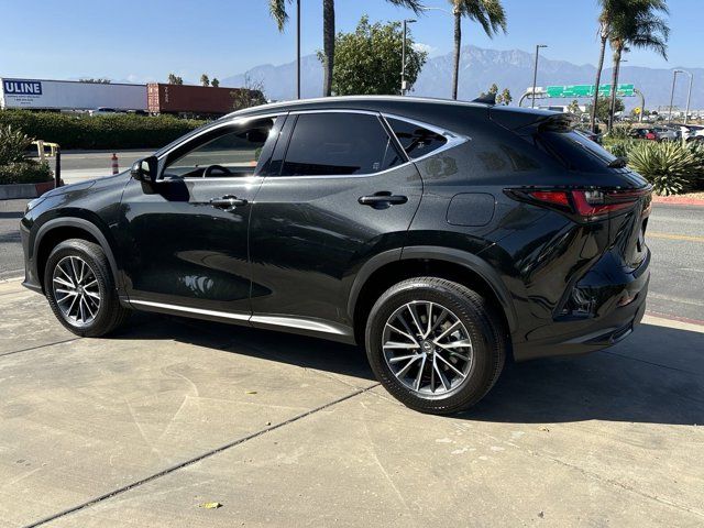 2024 Lexus NX 350h