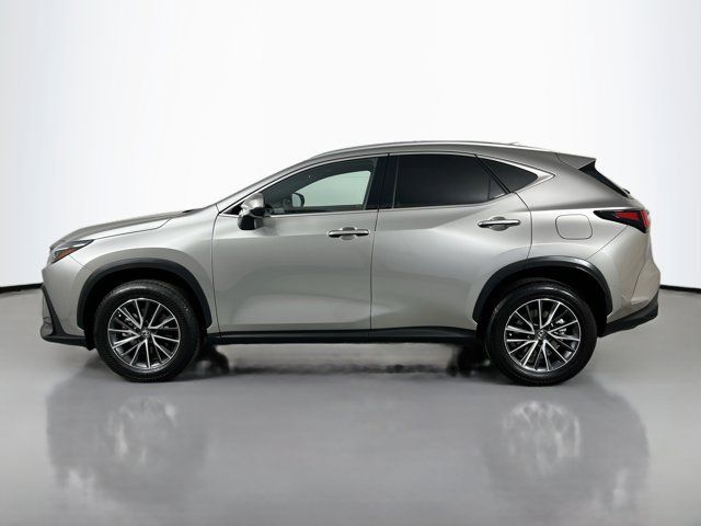 2024 Lexus NX 350h