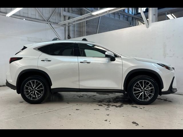 2024 Lexus NX 350h