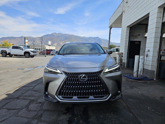 2024 Lexus NX 350h Luxury