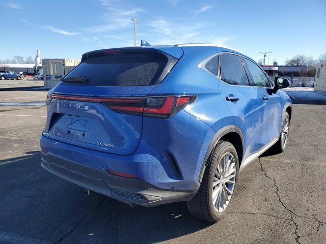 2024 Lexus NX 350h Luxury