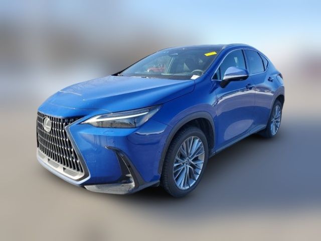 2024 Lexus NX 350h Luxury