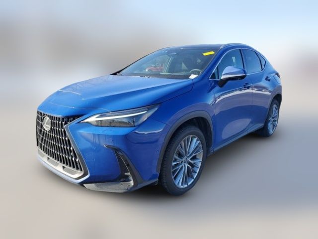 2024 Lexus NX 350h Luxury