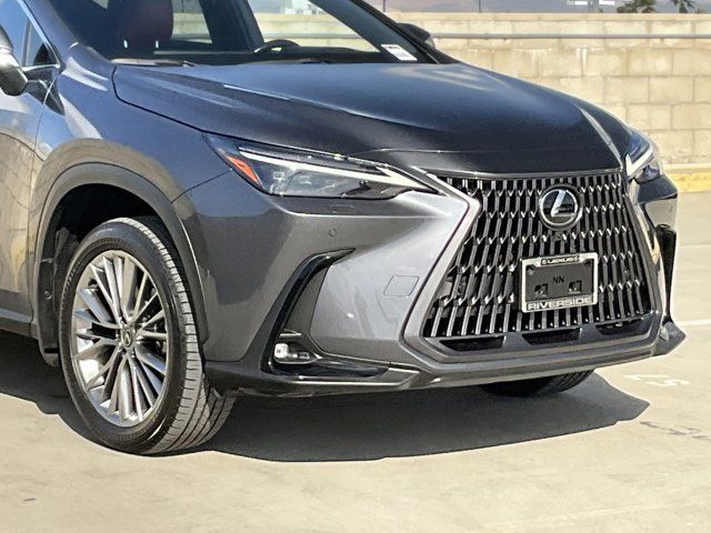 2024 Lexus NX 350h Luxury