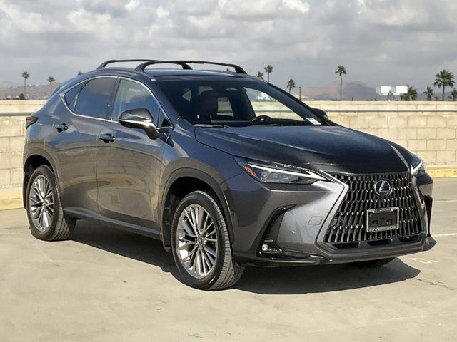 2024 Lexus NX 350h Luxury